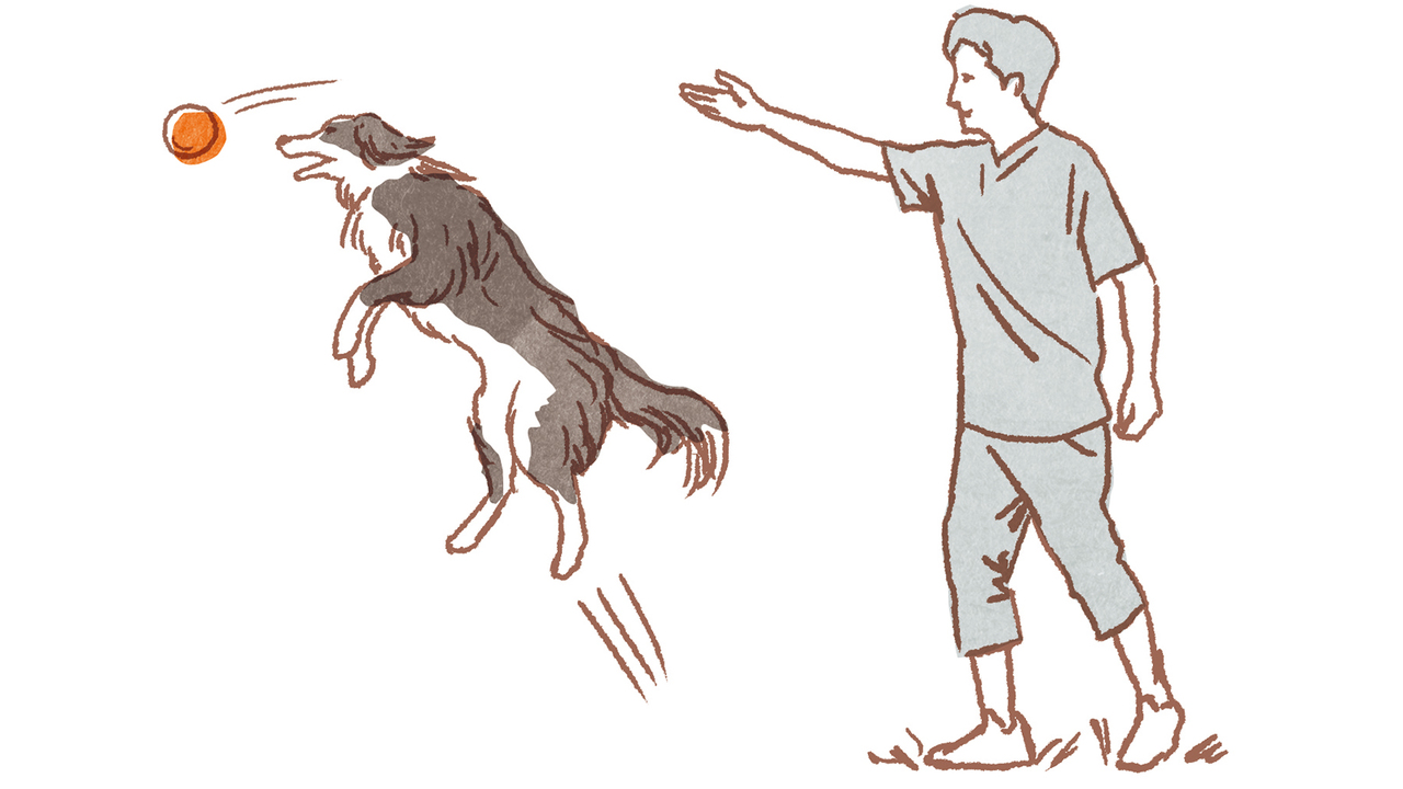 20181219_dog01-2