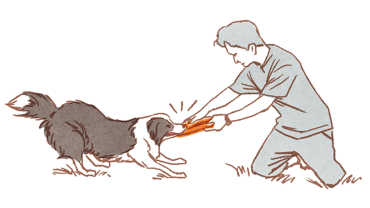 20181219_dog01-3