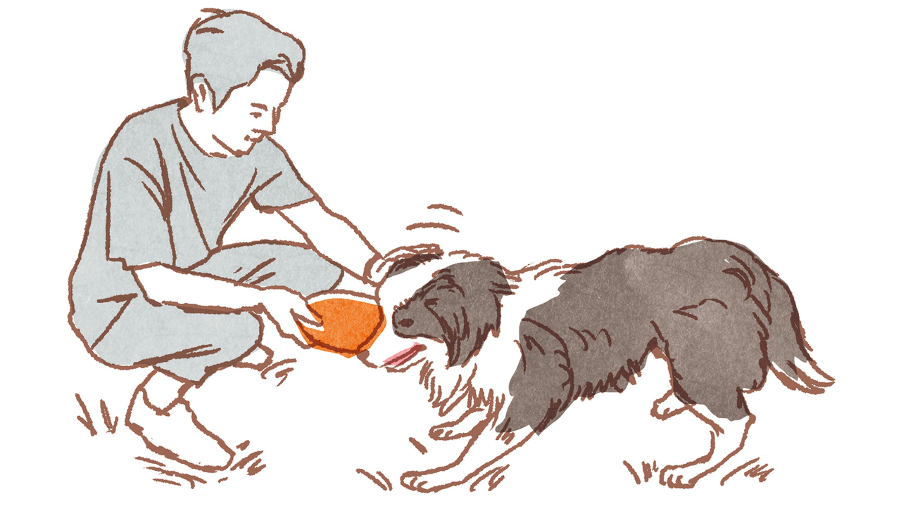 20181219_dog01-4