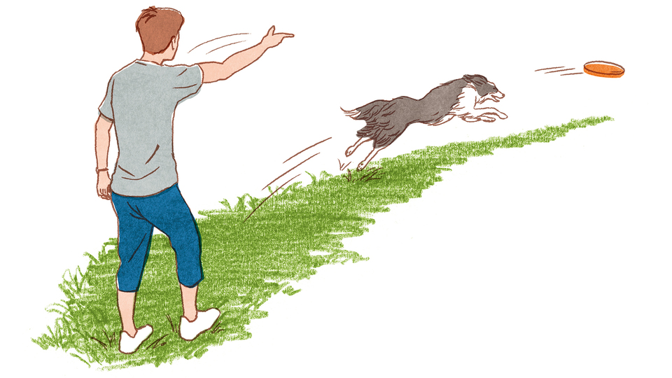 20181219_dog02-1