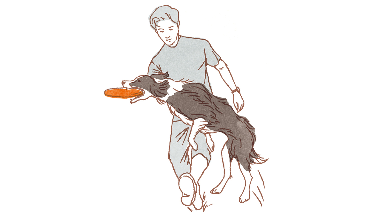 20181219_dog03-2