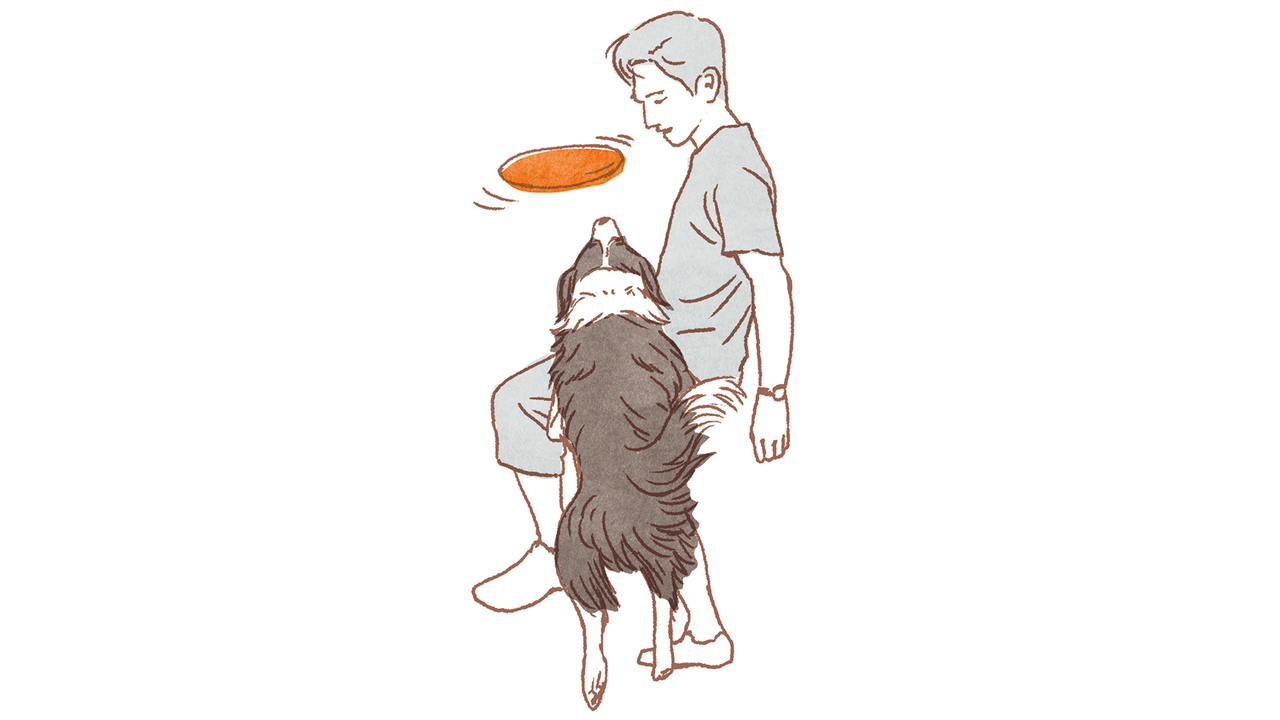 20181219_dog03-3