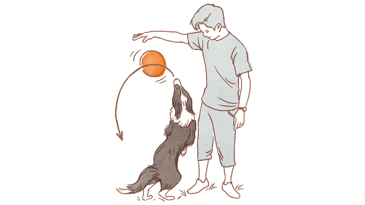20181219_dog03-5