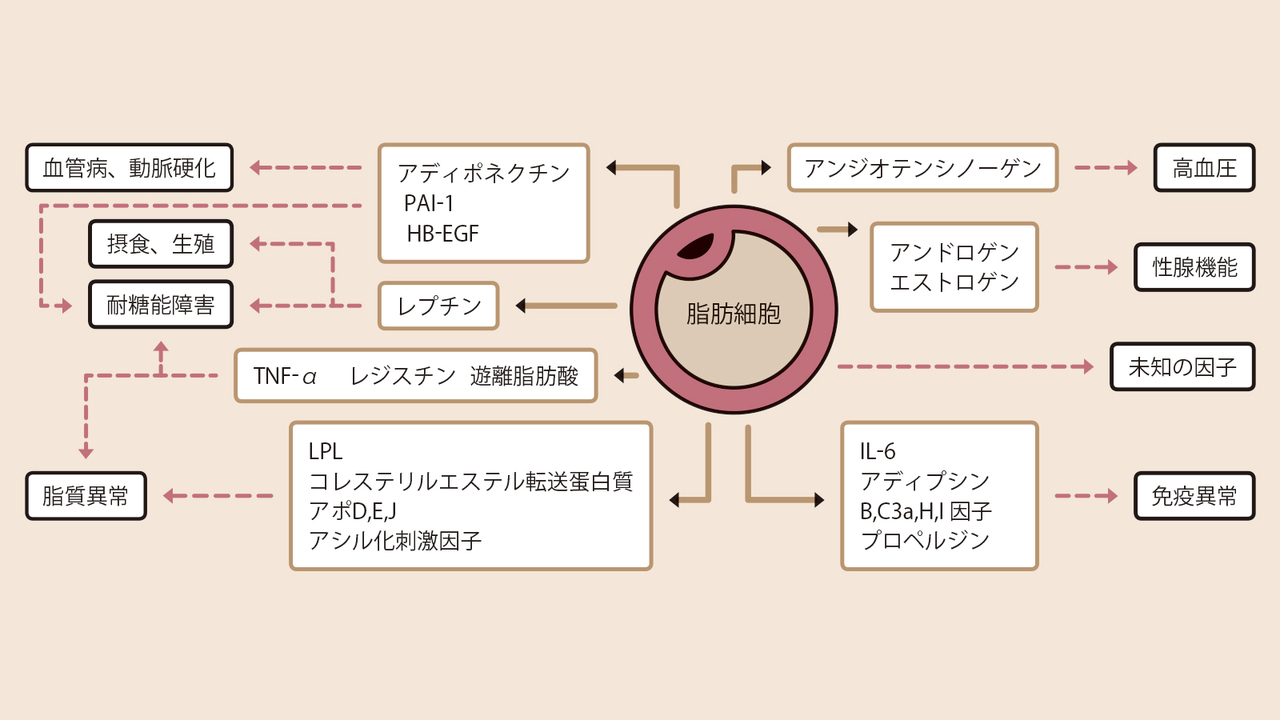 20181225_fat_14