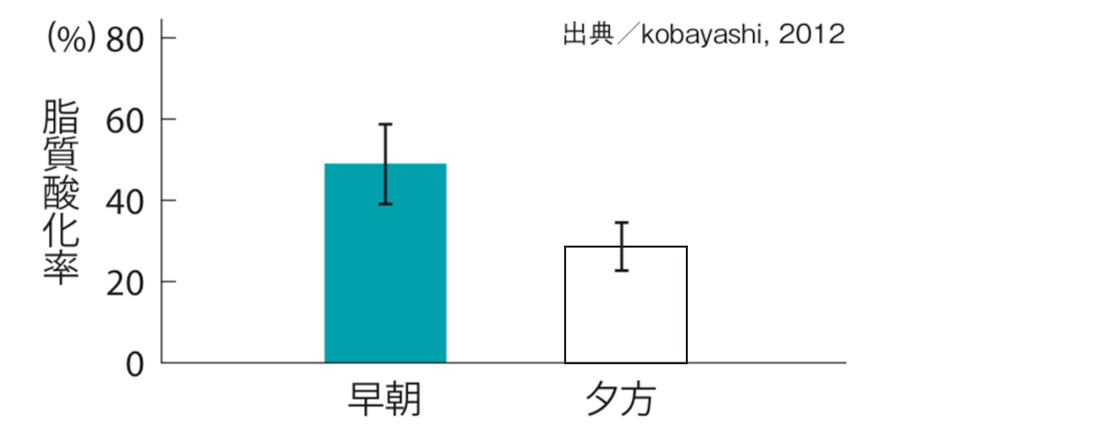 早朝ランがダイエットに最適な理由