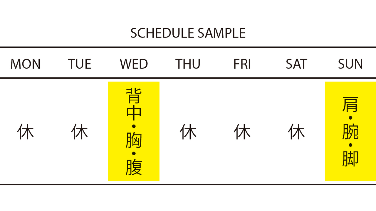 1日ごとの鍛える部位をより明確に!