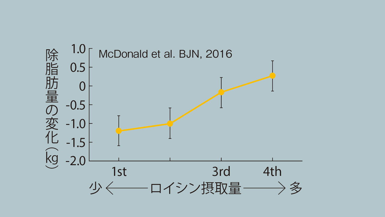 食事でのロイシンが増えると筋肉量の減少が防げる