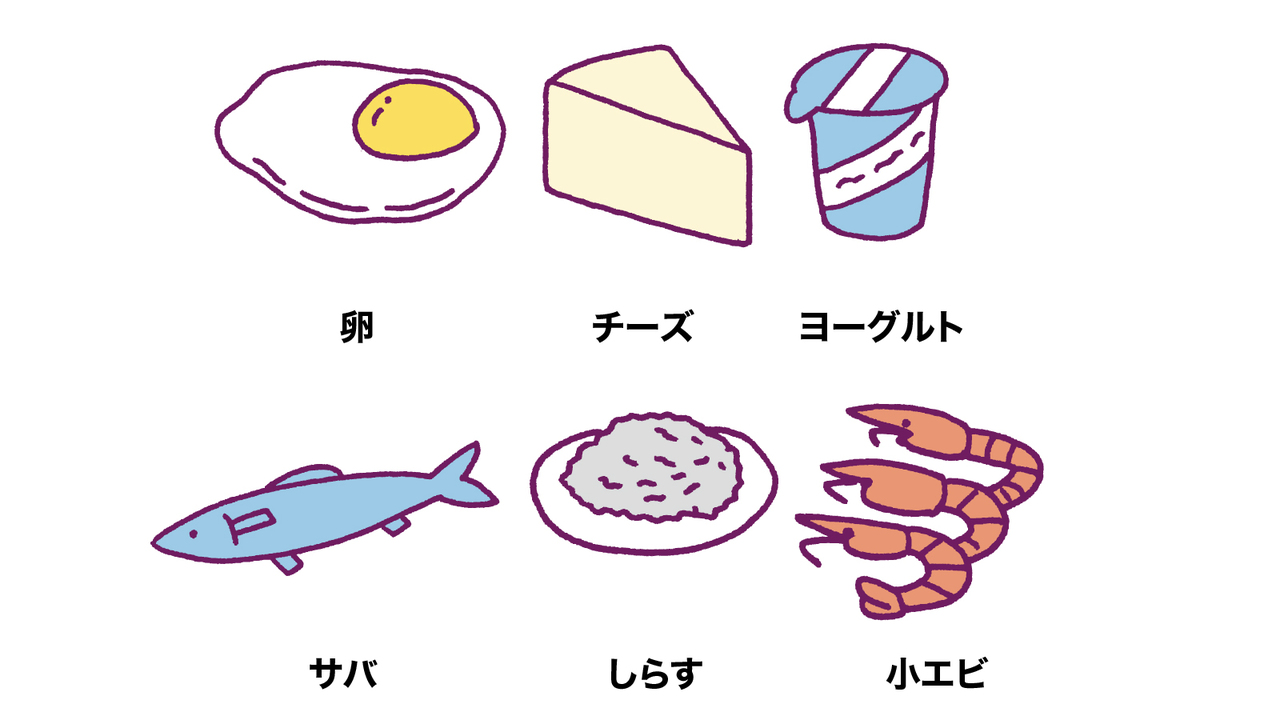 肉類、魚介類、卵、大豆食品、牛乳・乳製品