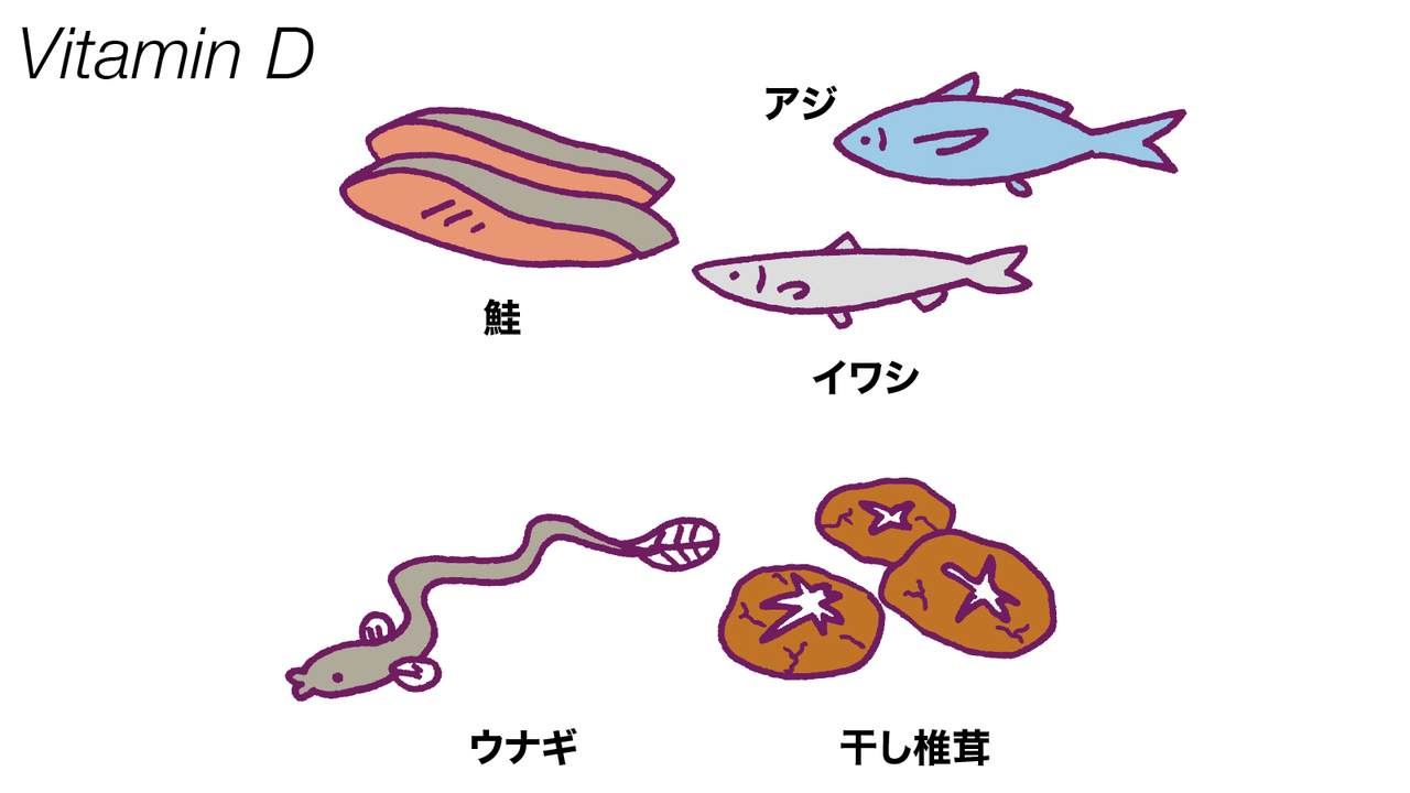 ビタミンDを摂取できる食材