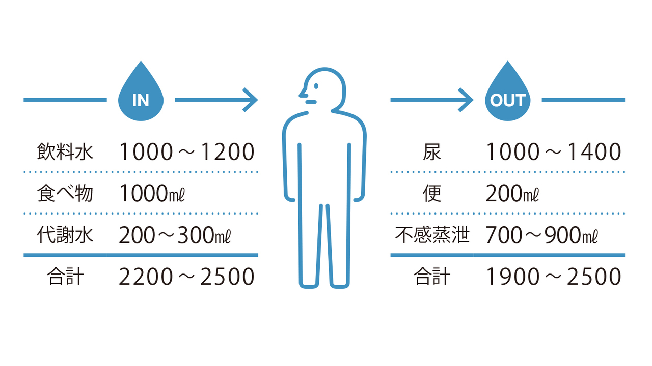 体重60kgの成人における1日の推定水分出納バランス
