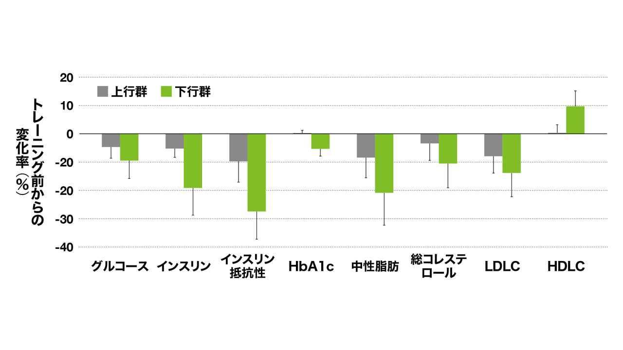 エキセンは糖質&脂質代謝も改善させる。