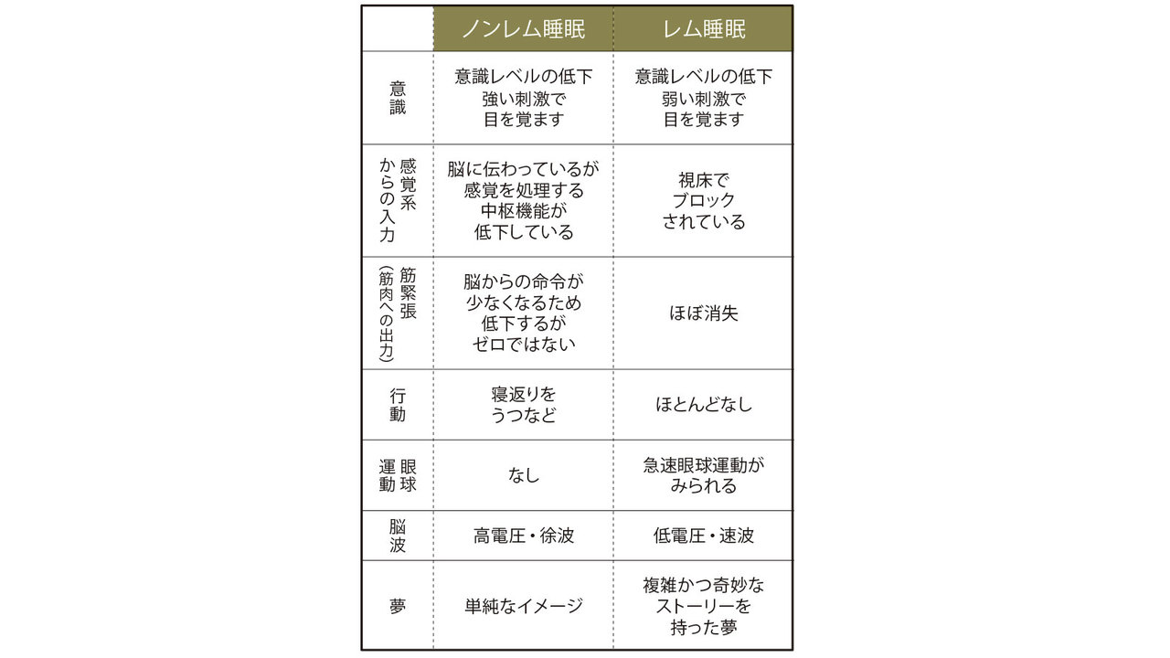2つの睡眠層の特徴を項目ごとに見てみると…。