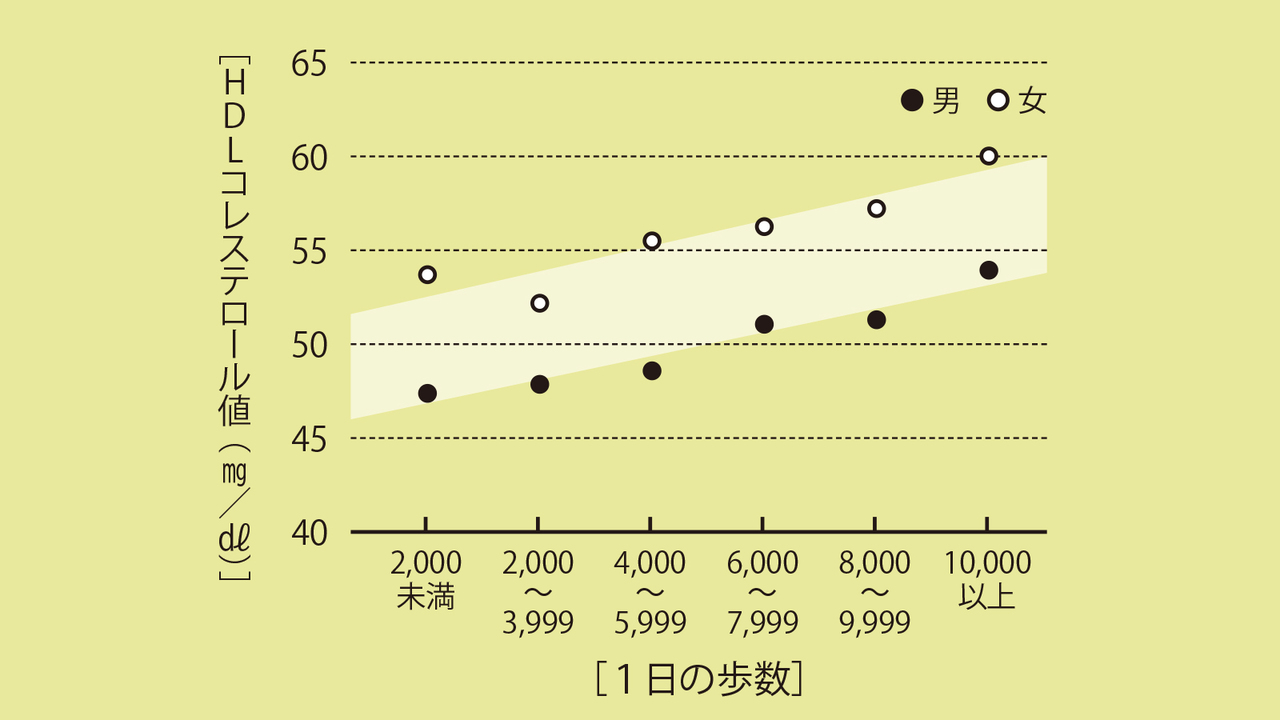 「1日の歩数」とHDLコレステロールの関係