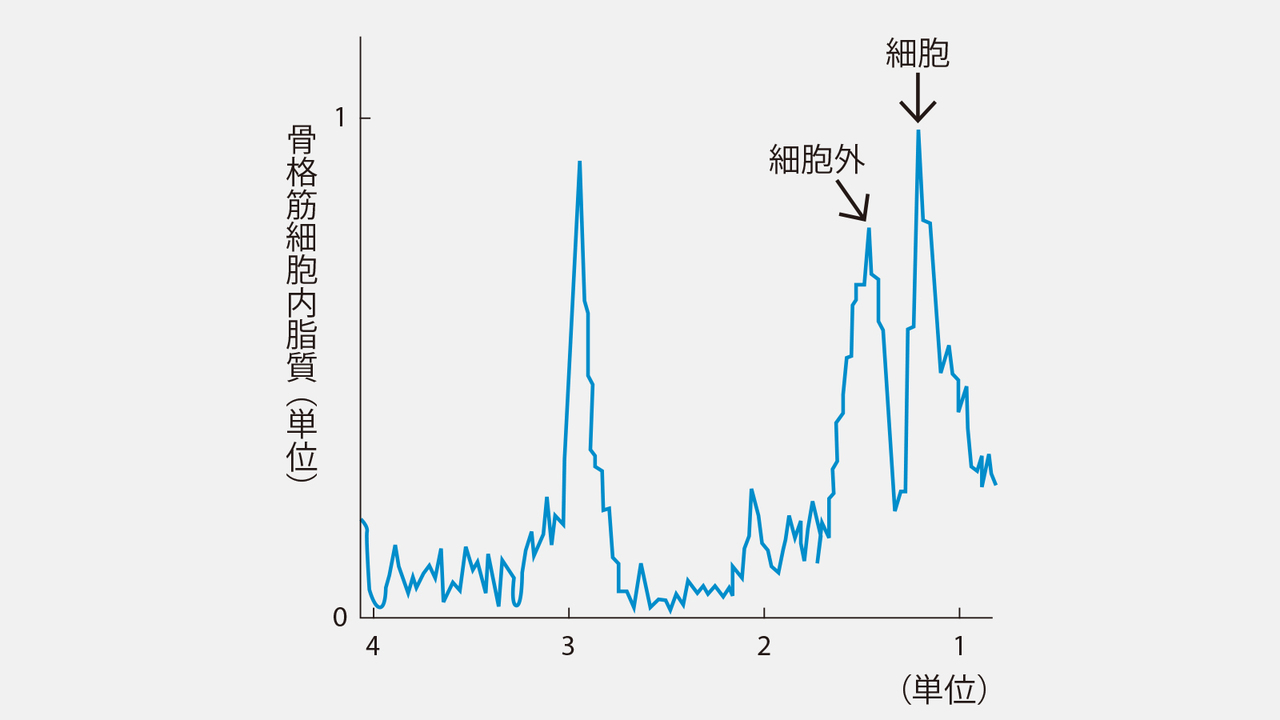 脂肪細胞でもないのに、なぜか脂肪を蓄えている