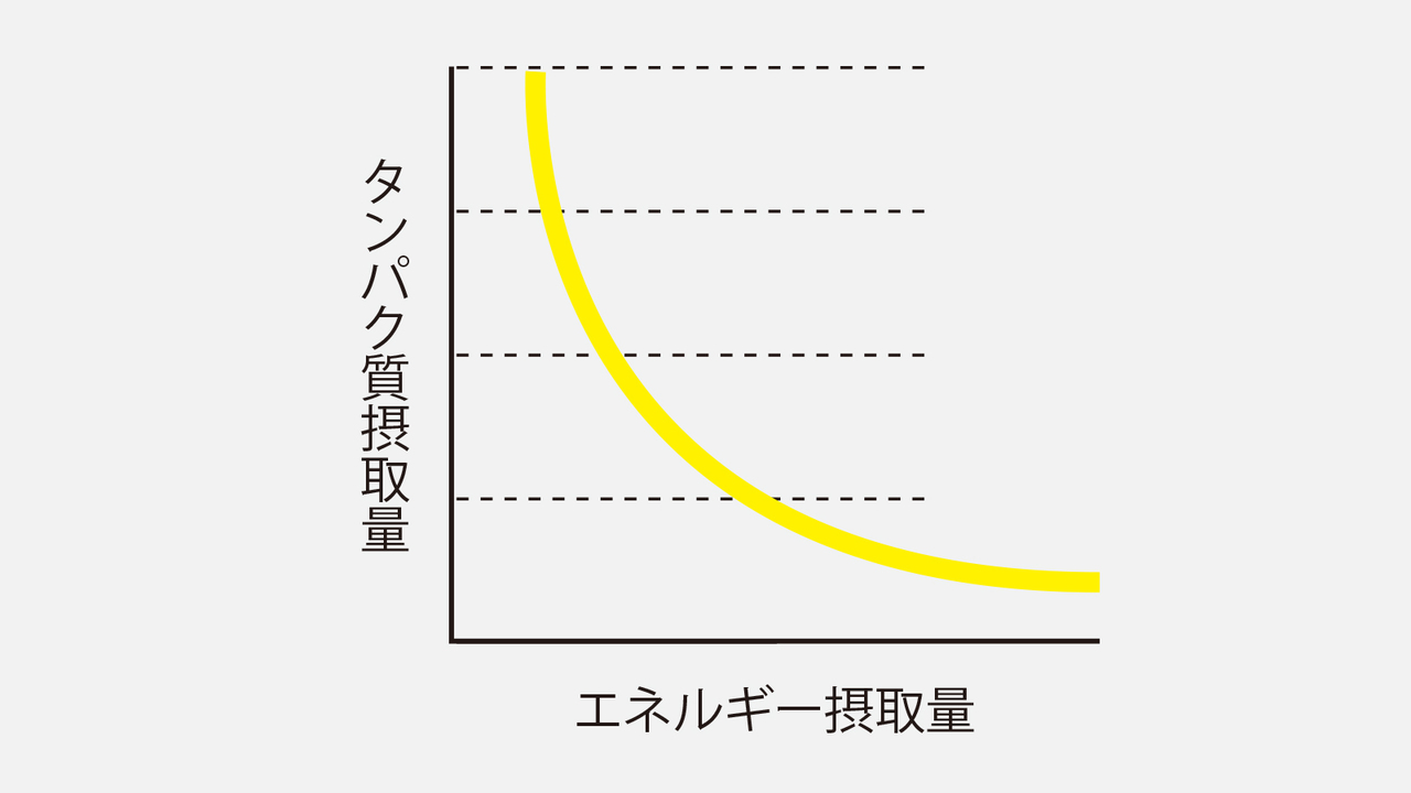 エネルギーの摂取量がタンパク質節約作用に。