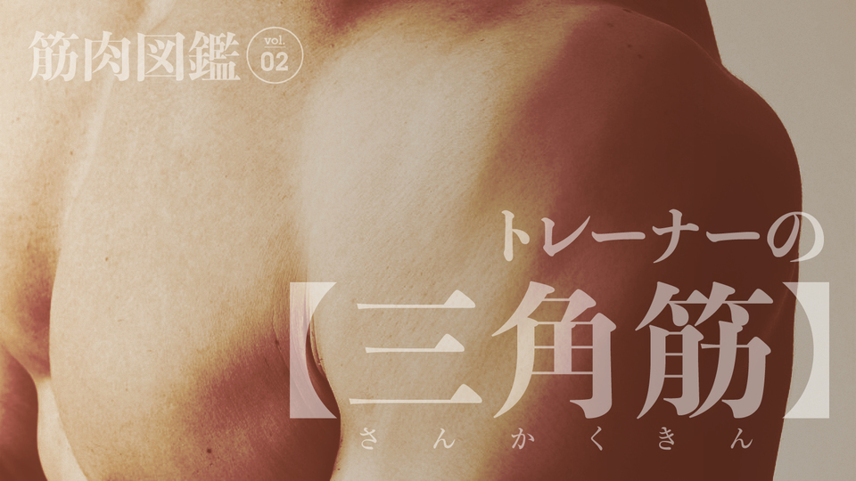 「ケンシロウに近づいている!?」有馬康泰さんの逆三角形ボディへの歩み|筋肉図鑑 vol.2