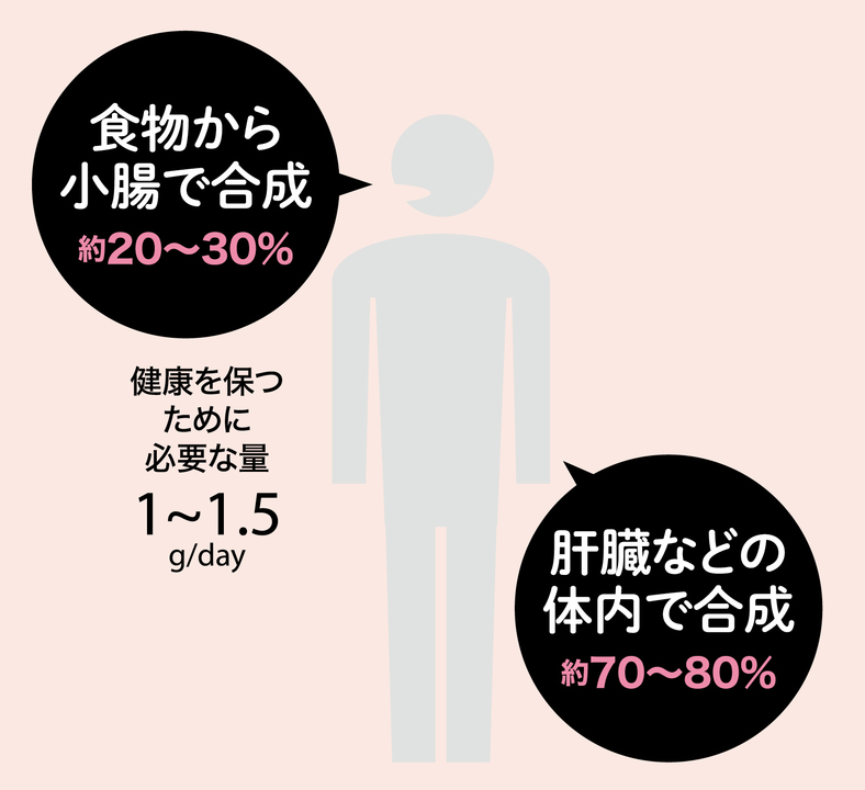 コレステロールの量は体内で一定に保たれる