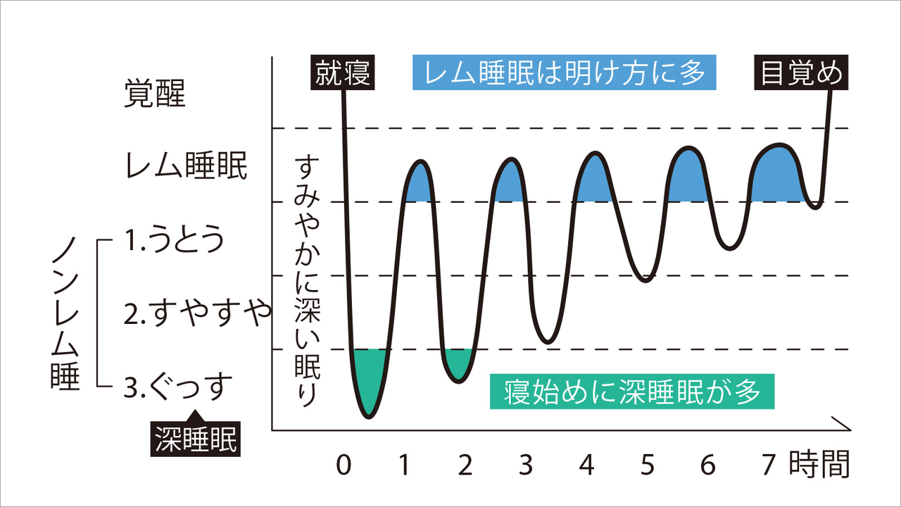 良い睡眠のパターン