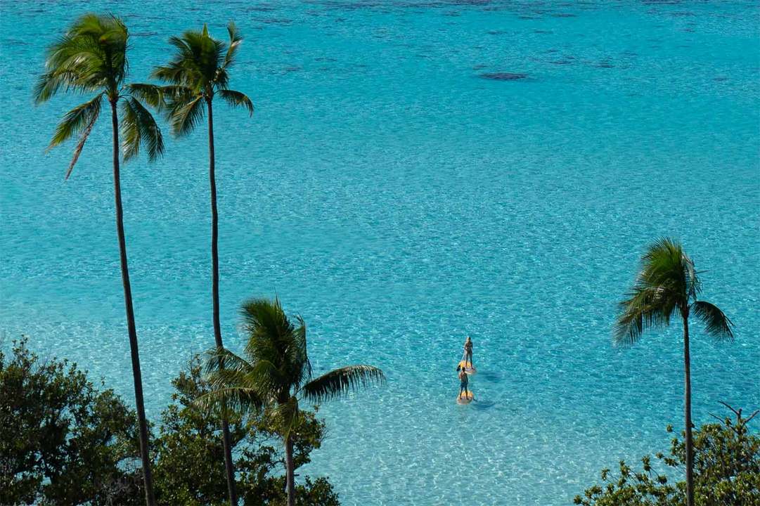 モーレア島のビーチでSUPする人たち。