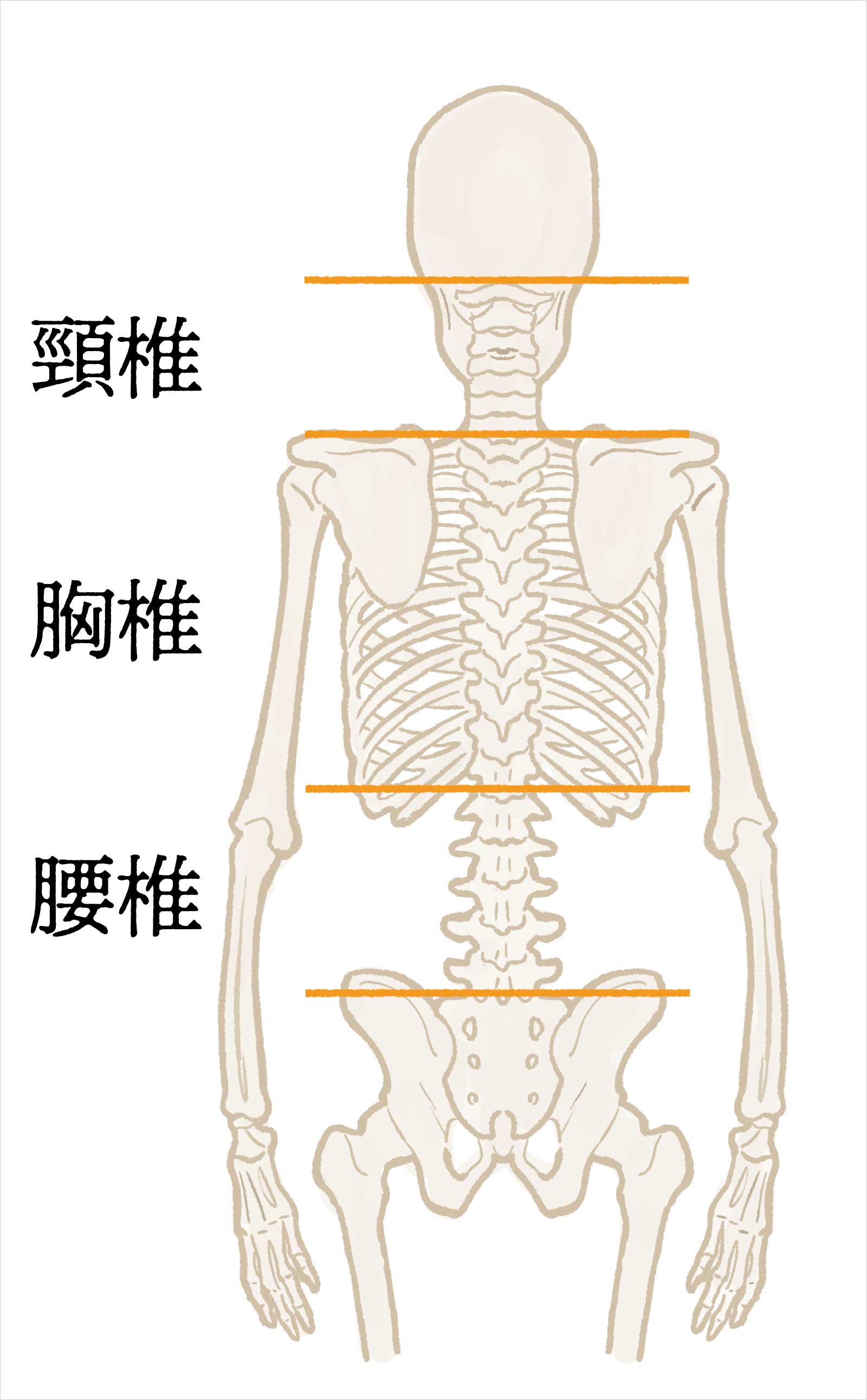 軸とは何か? 歪むと何が起きるか?