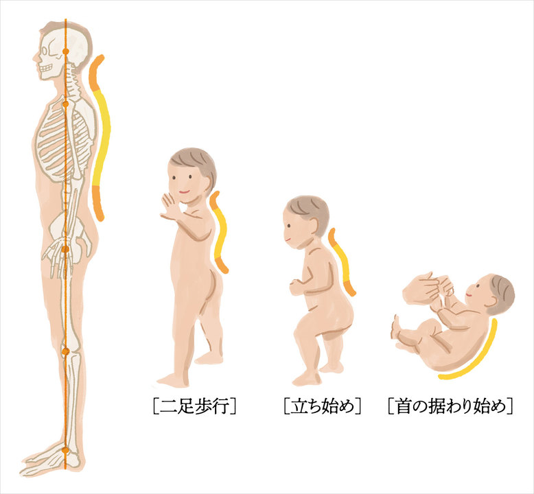 軸とは何か? 歪むと何が起きるか?