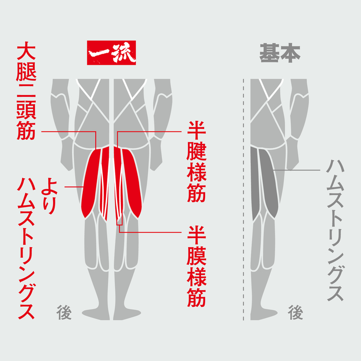 一流のレッグカール