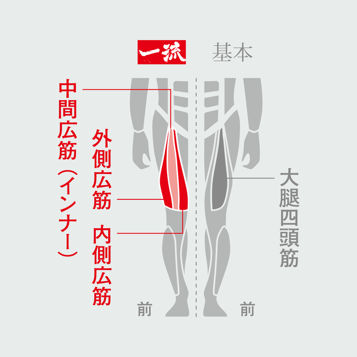 一流のレッグエクステンション