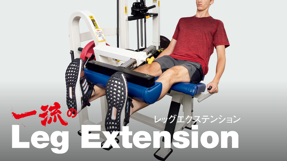 一流のレッグエクステンション