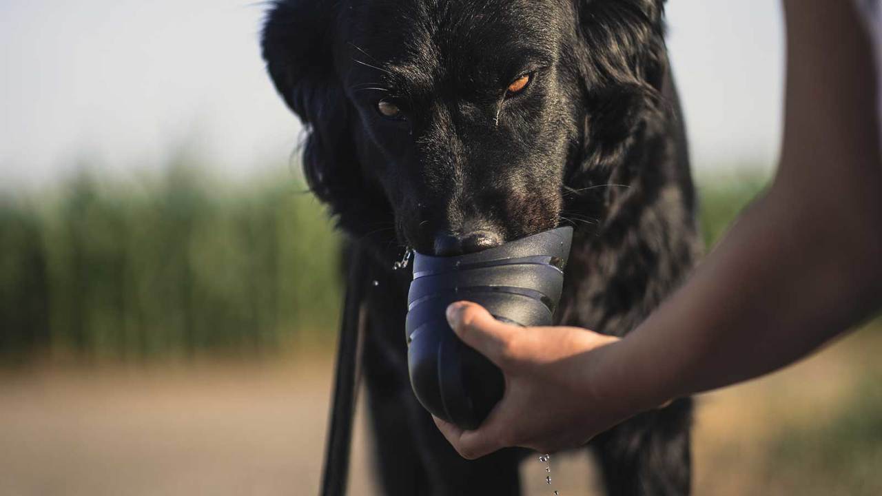 水を飲む
