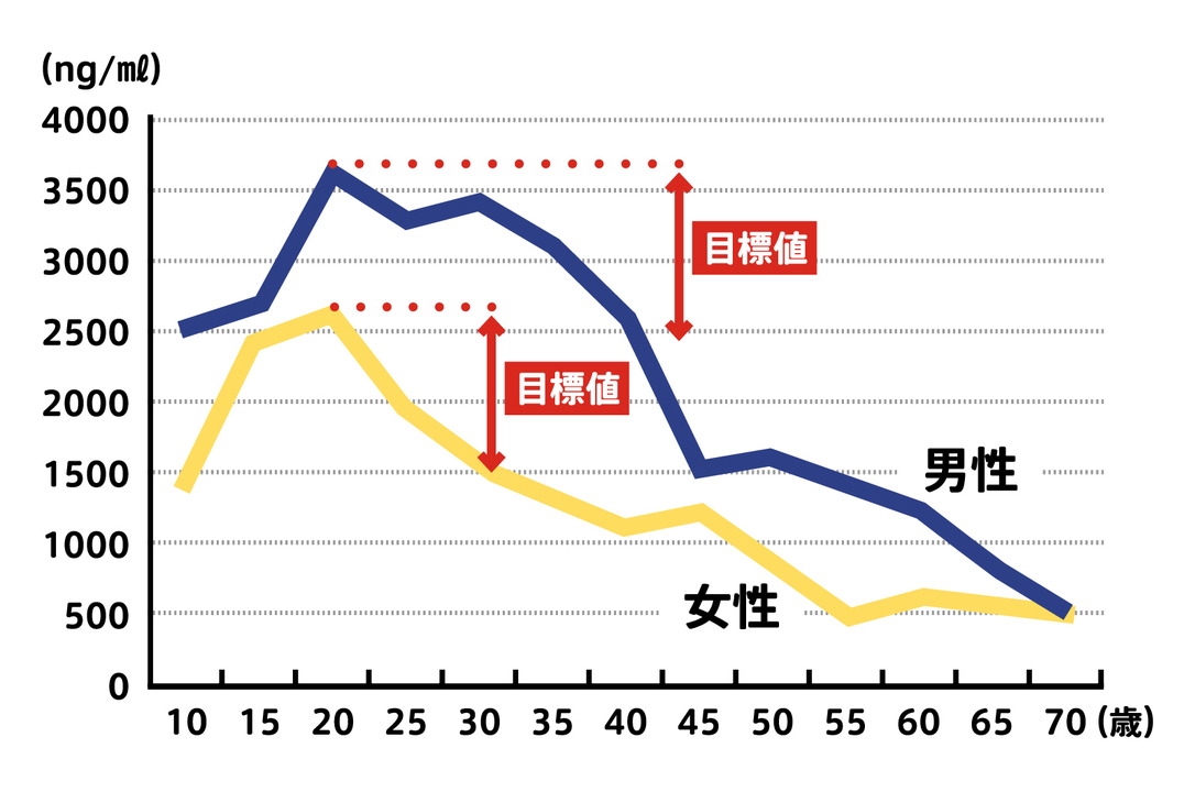 40代以降の男性はDHEAに黄信号が