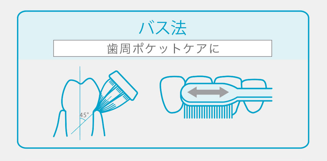 バス法の説明イラスト