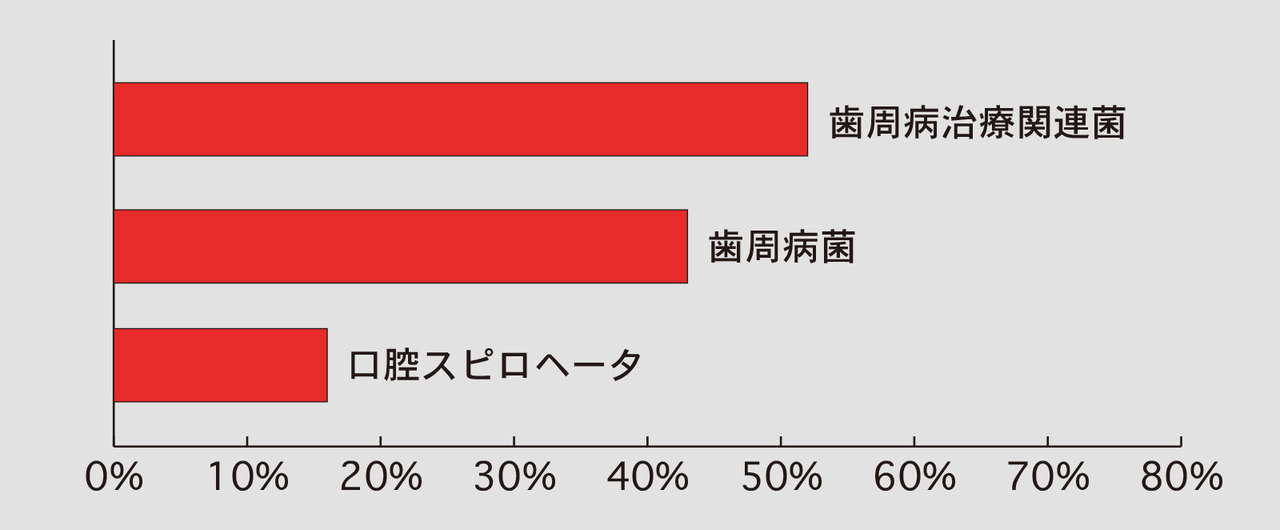 歯周病菌はくも膜下出血の一因か?