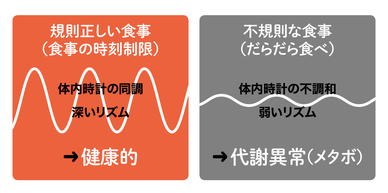 食事の仕方が体内時計のメリハリに影響する