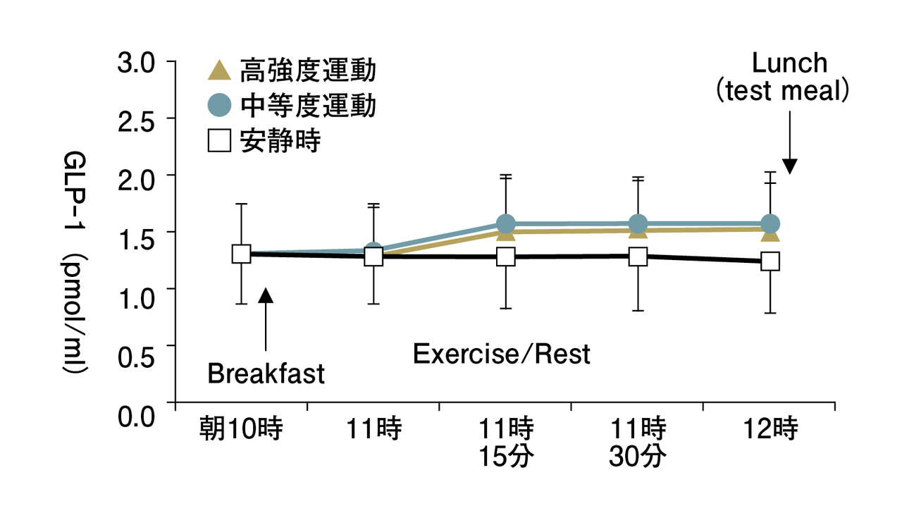 運動で食欲抑制ホルモンが増える?