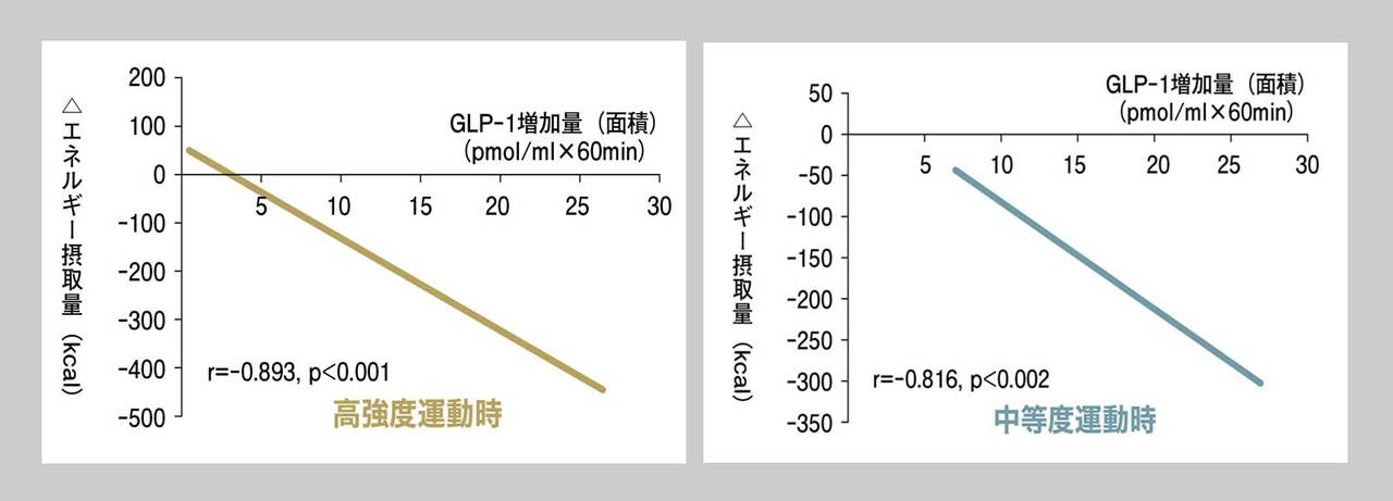 2つの運動強度とエネルギー摂取量の変化を比べてみると