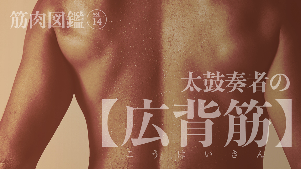 筋肉図鑑