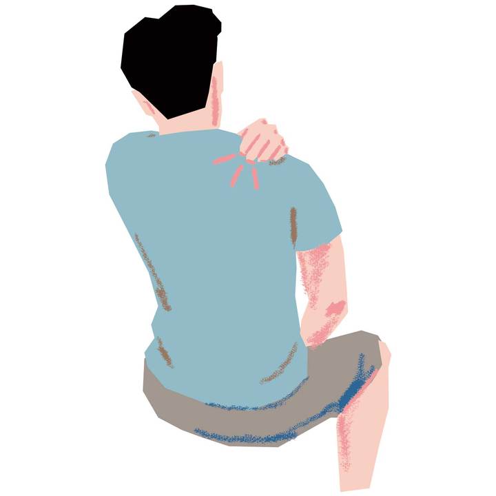 胸(大・小胸筋)