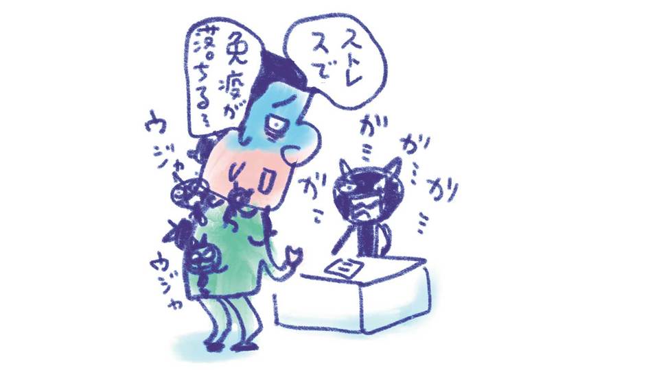 免疫の噂のウソ・ホント