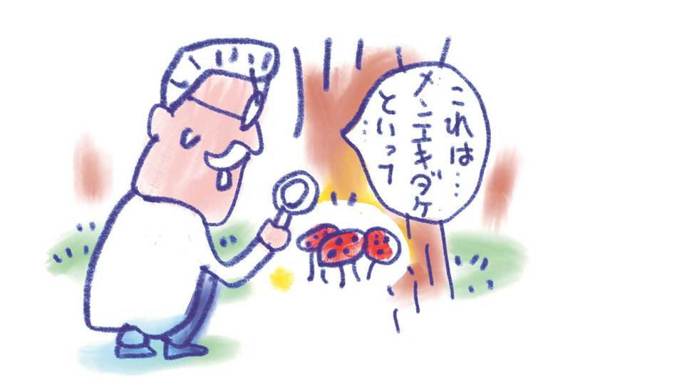 免疫の噂のウソ・ホント