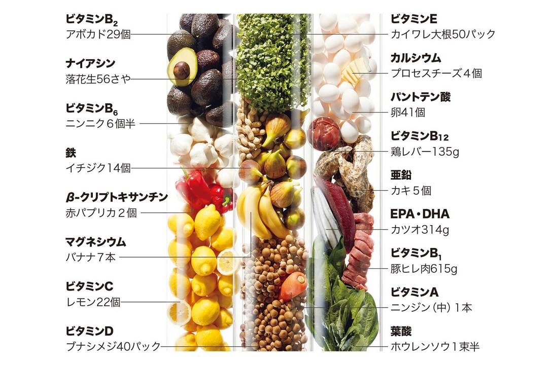 《ライフパック ナノ プラス》1日2パックなら、これだけの栄養成分が補給できる!