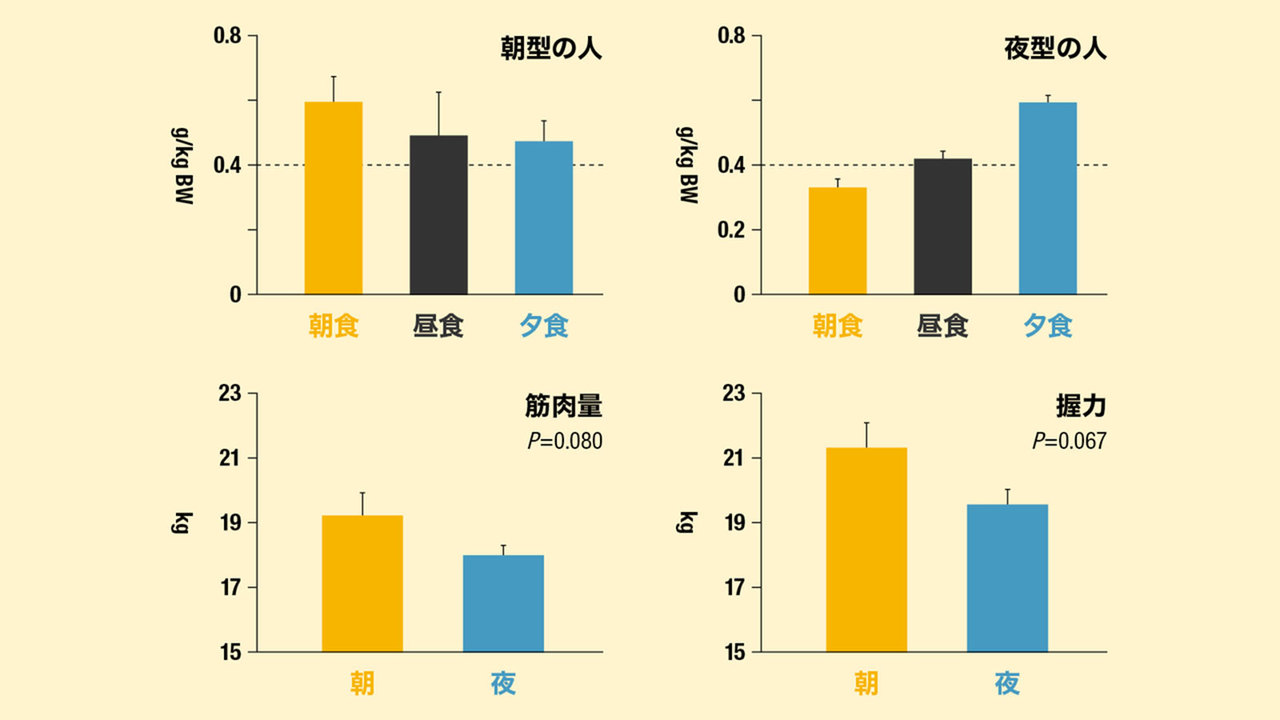 「タンパク質豊富な朝食は筋量・筋機能アップに有効」のグラフ