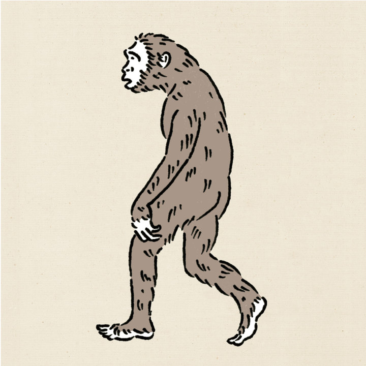 人類の「座り」の歴史
