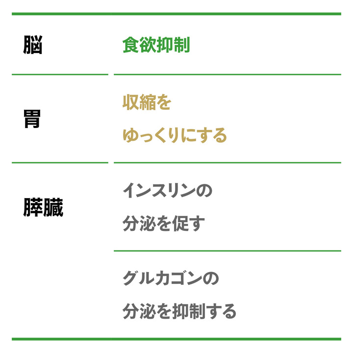糖質摂取によるGLP-1の働き