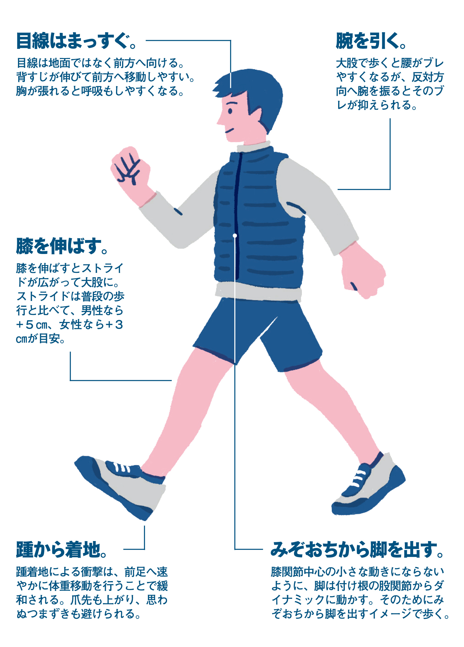 1日1万歩