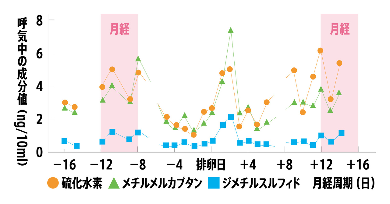 月経のある世代はホルモンの影響で口臭が変化する
