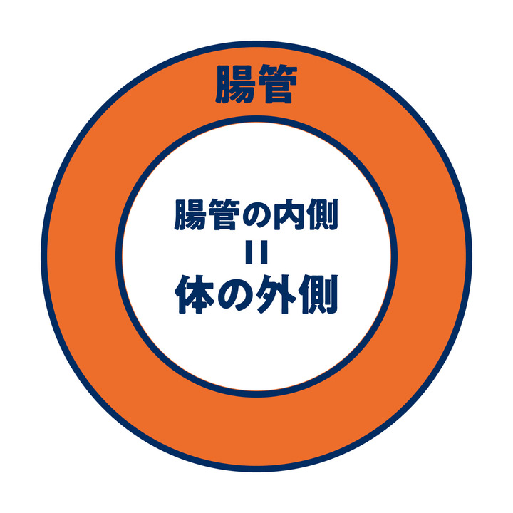 腸活