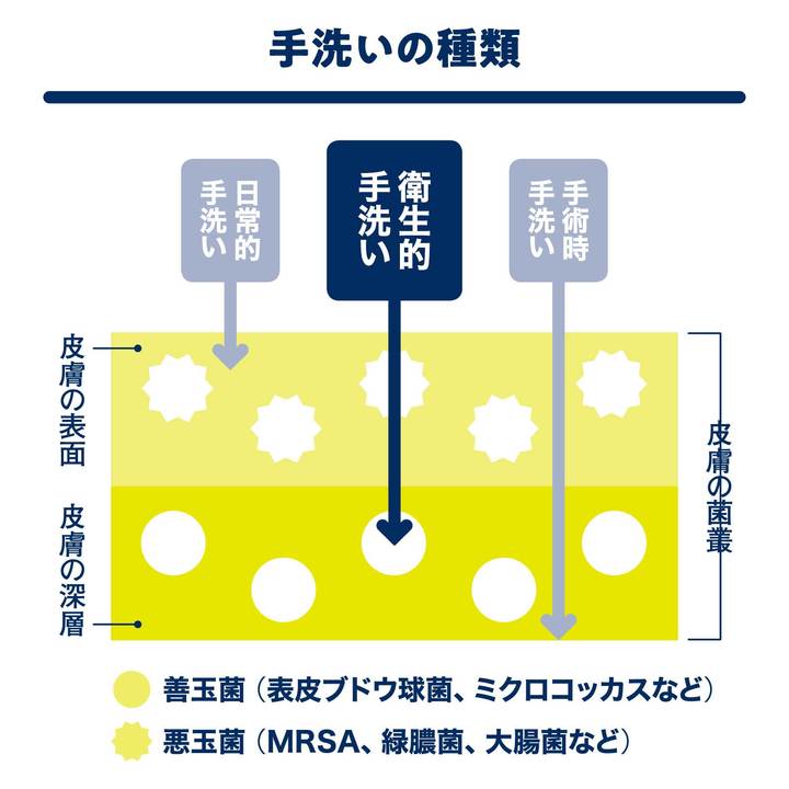 手洗いの種類