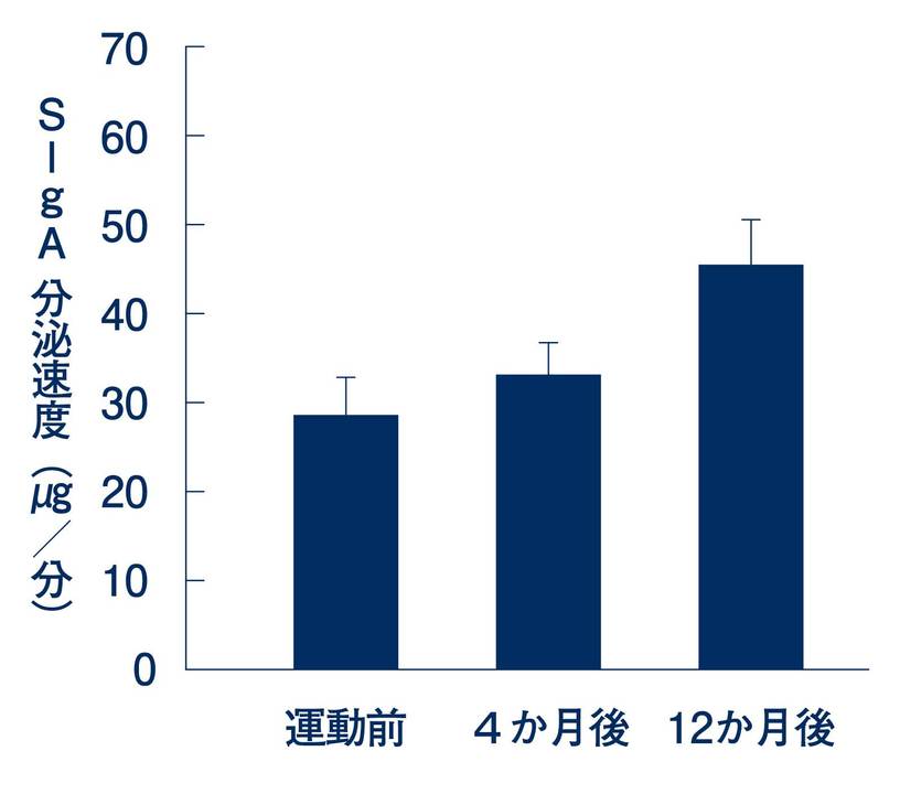 適度な運動の継続で免疫機能は向上する。