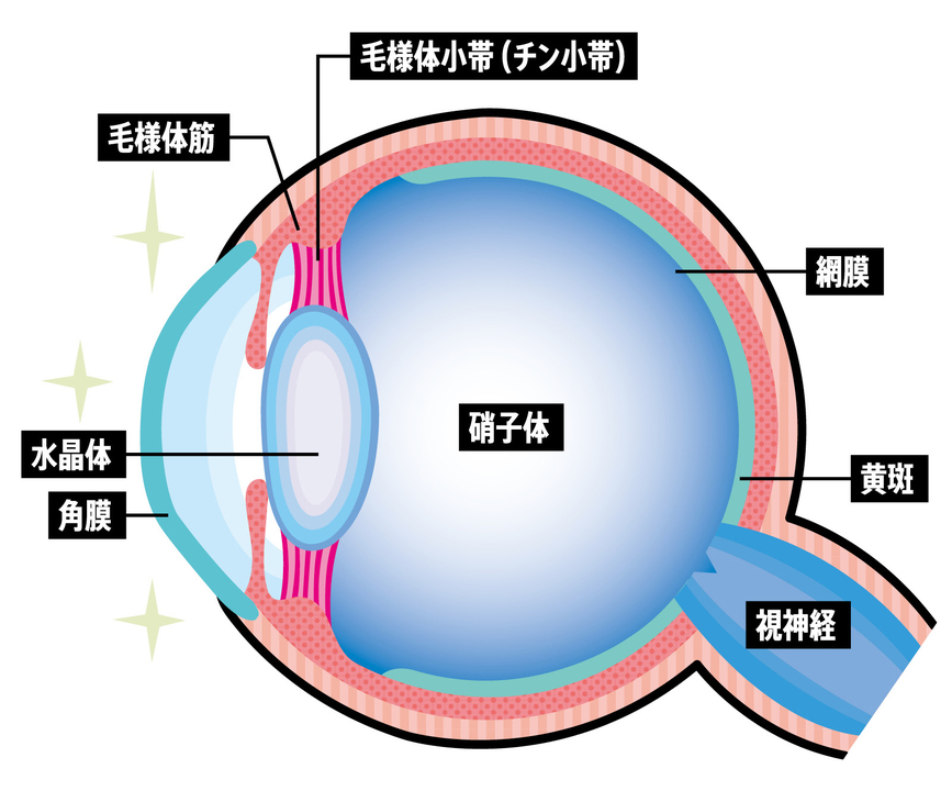 初期老眼