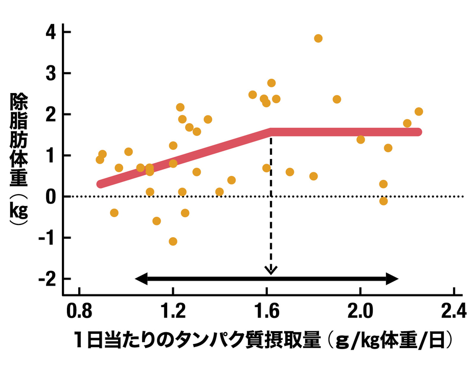 筋トレの効果を望むなら、体重1kg当たり1.6gが目安。